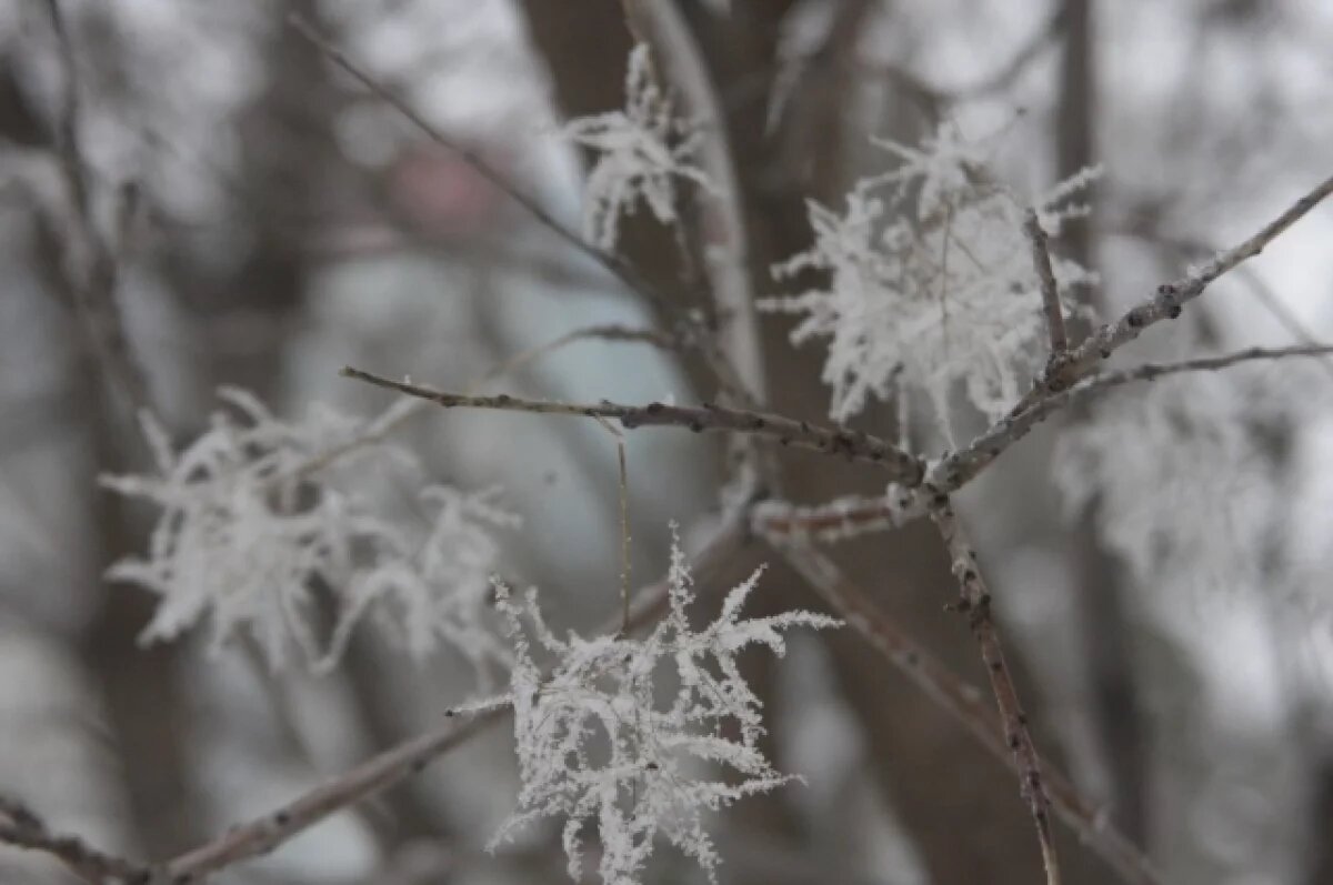    В Новосибирске 3 декабря температура опустится до -3 °C