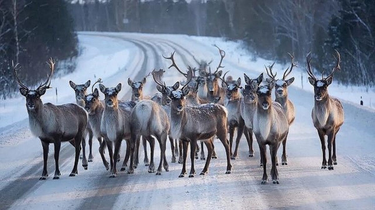    Изображение создано с помощью ИИ