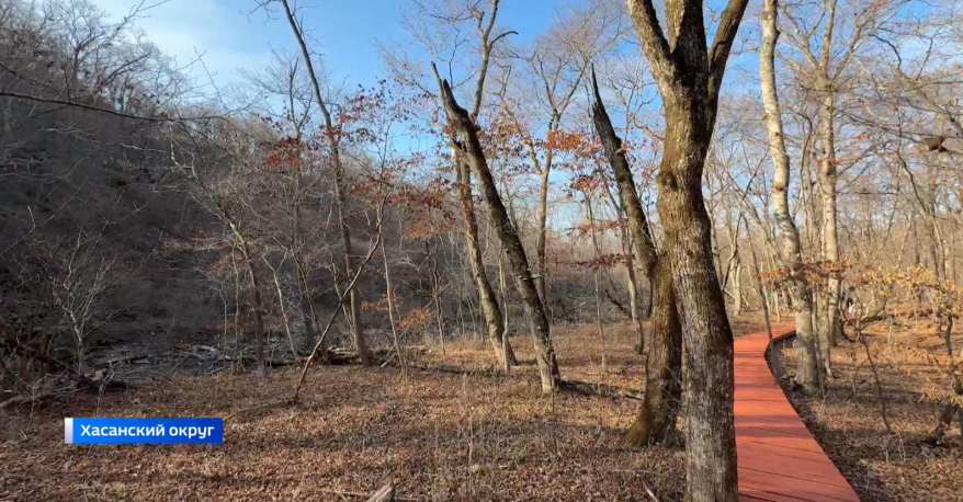    Источник фото: