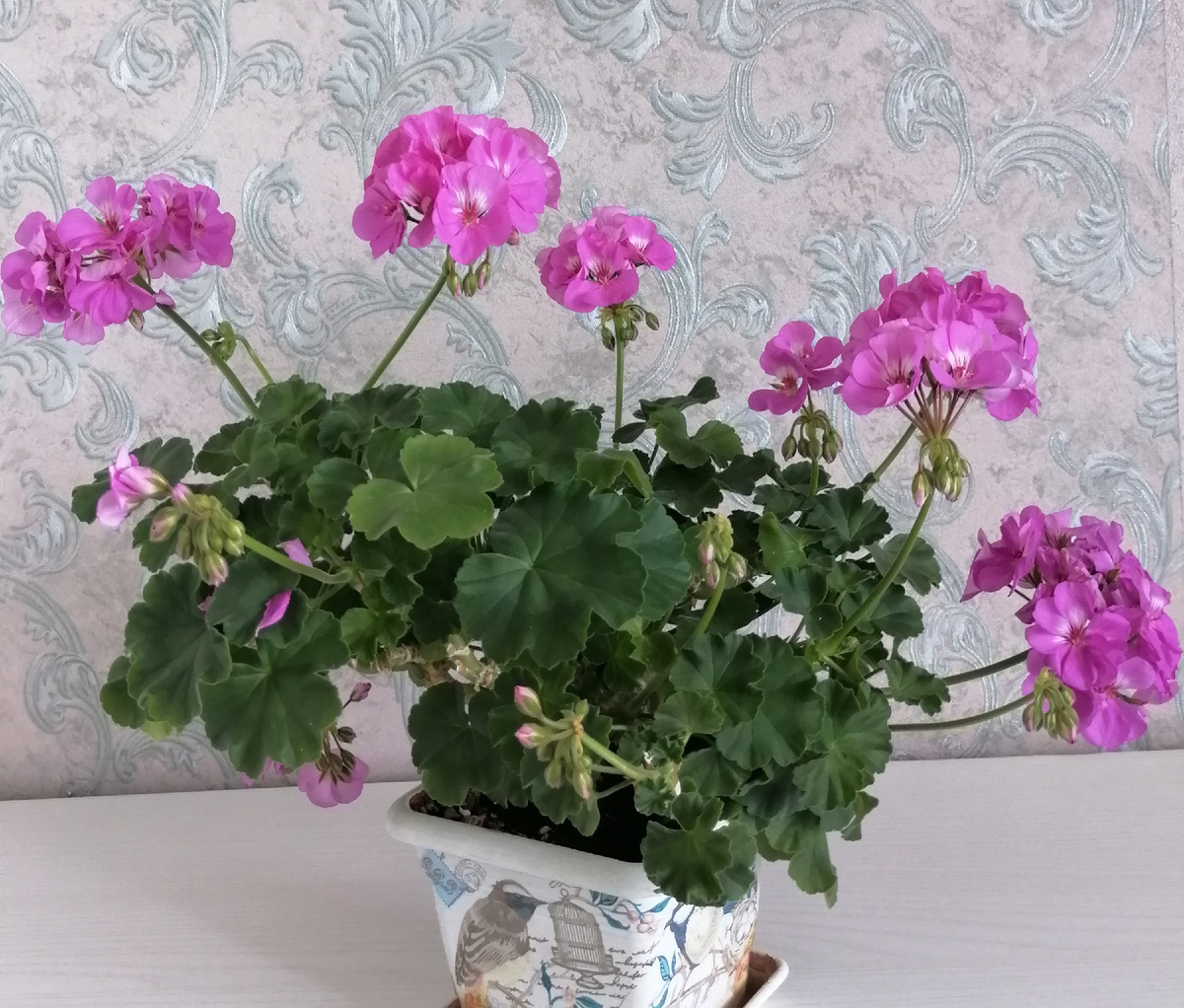 А как  с этим расстаться, ведь он так старается.