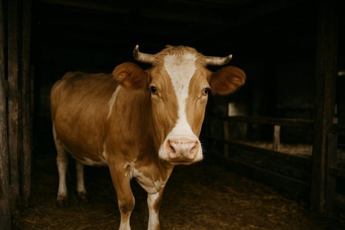 Изображение сгенерировано нейросетью.
