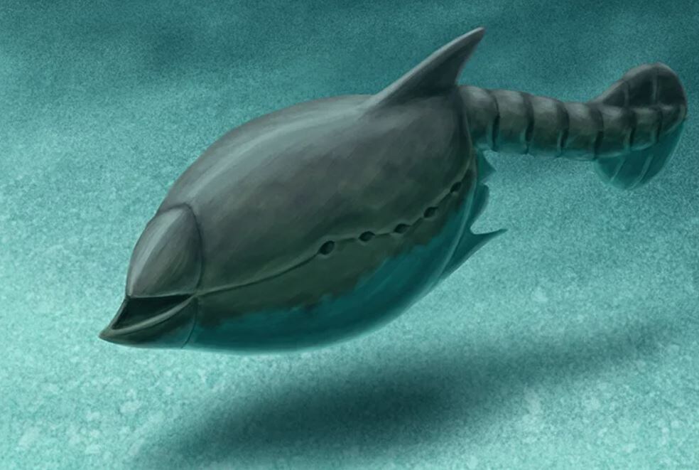 1 Ветуликолия