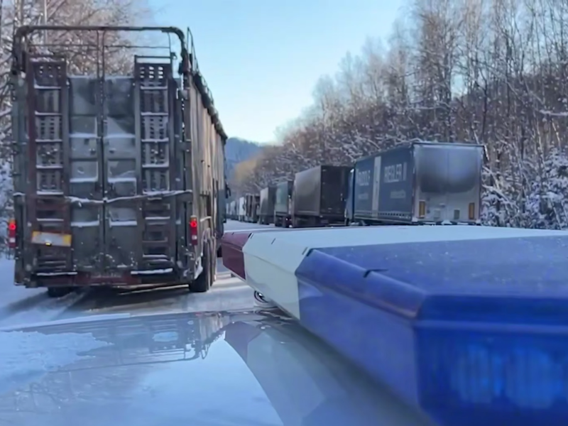 © Фото: t.me/irinavolk_mvd