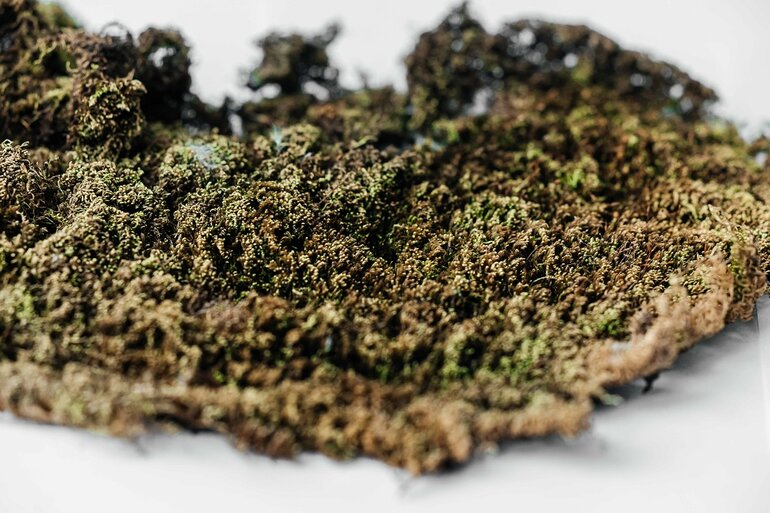 Источник фото: ТПУ