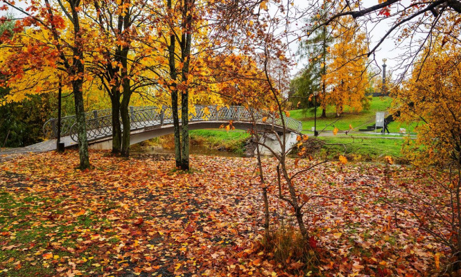    фото: © Людмила Корвякова, Столица на Онего