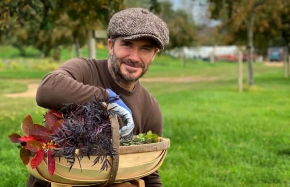 Обработанное фото из сети.