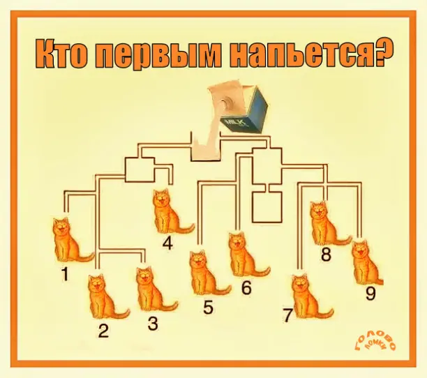 🥛 Кто из котов успеет первым? Головоломка на скорость и логику!