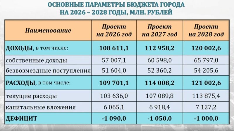    Скриншот: Горсовет Новосибирска/ВК