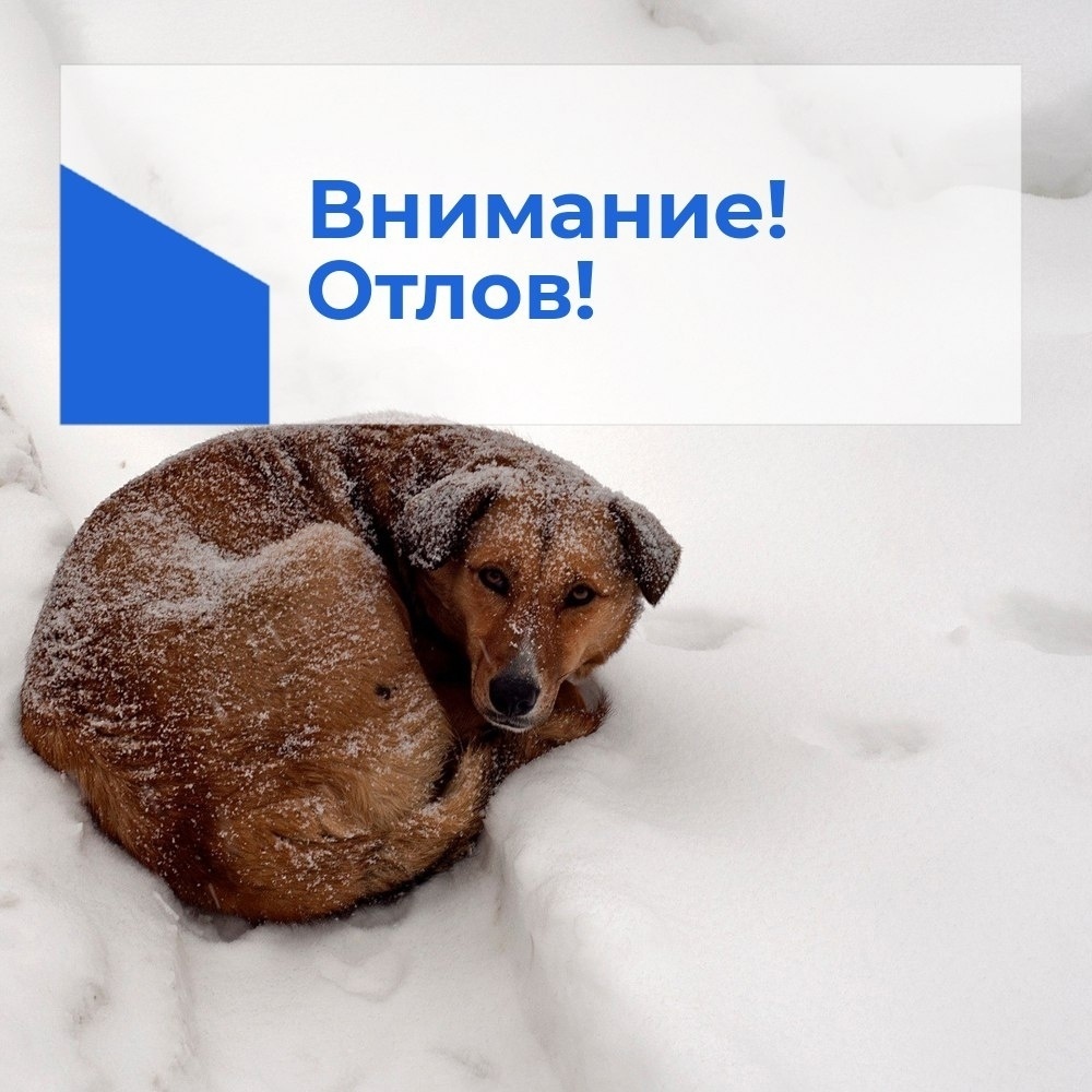    Фото: Беломорский округ