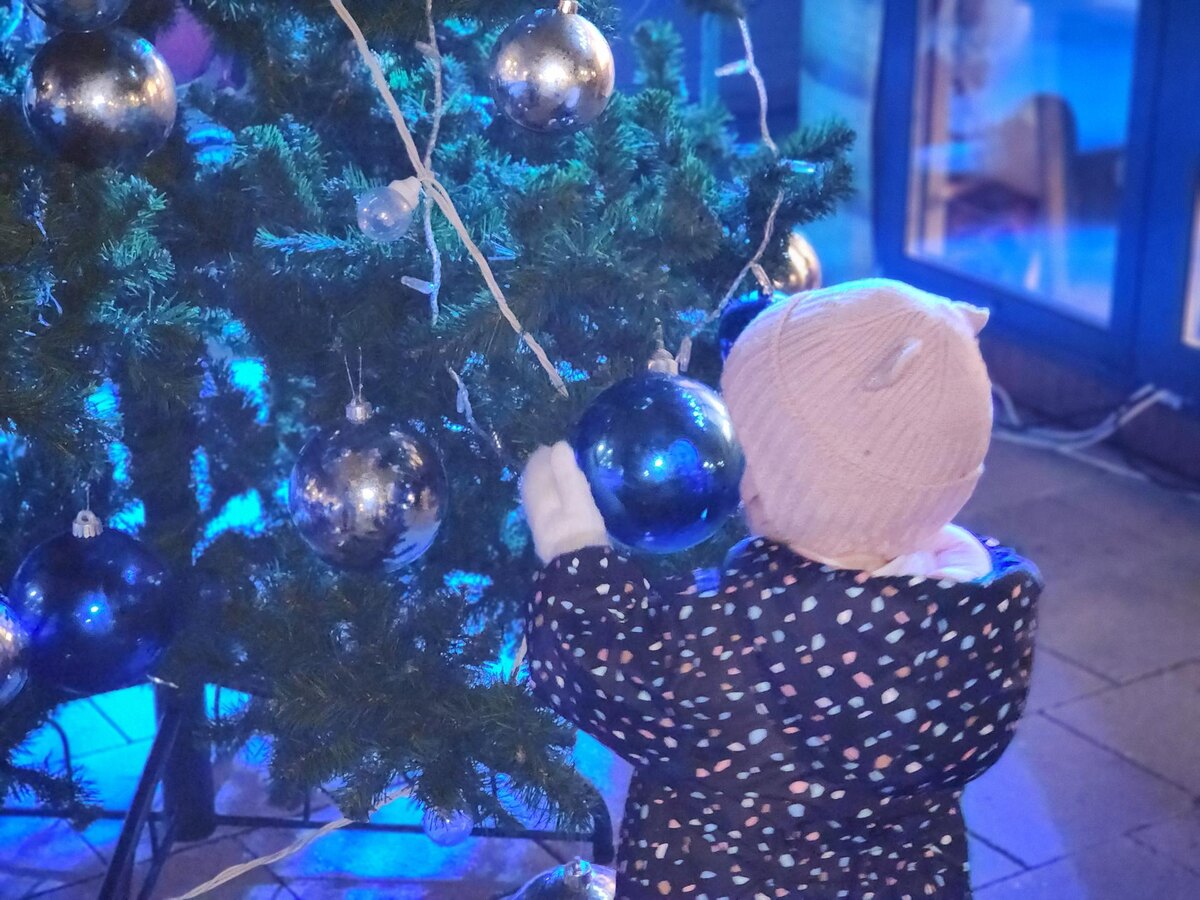    Фото: Елена Шумакова