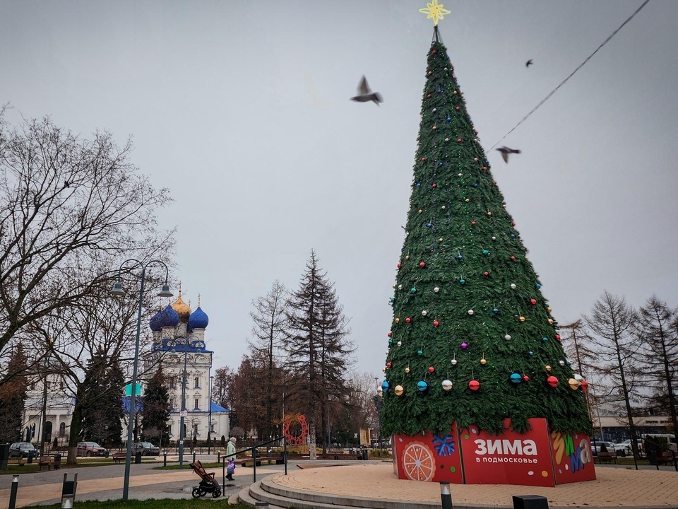    Фото: МедиаБанк Подмосковья/Ольга Антонова
