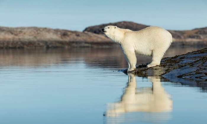 Переброска сибирских рек уничтожит Арктику