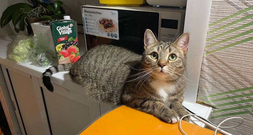    Автор фото - Анна Ефимова