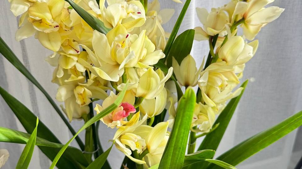 Я не могу молчать😂я как то сито! Ой что будет, ой что ко мне приехало