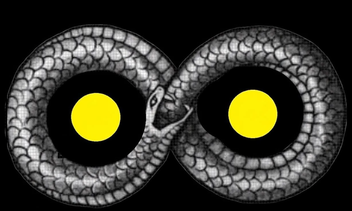 Змея , закусывает свой ХВОСТ!