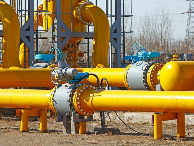    Фото: 123RF.com/lnpdm