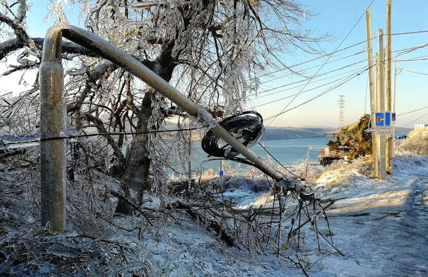 Дождь в декабре