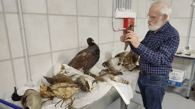 Фото: Музейное агентство Ленинградской области