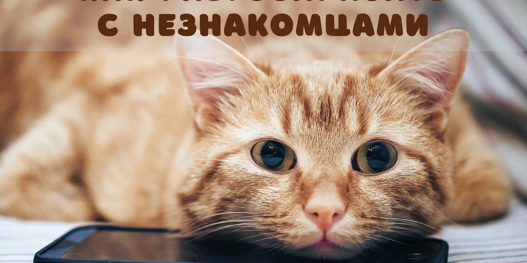 Никогда не отвечайте на звонки от неизвестных...