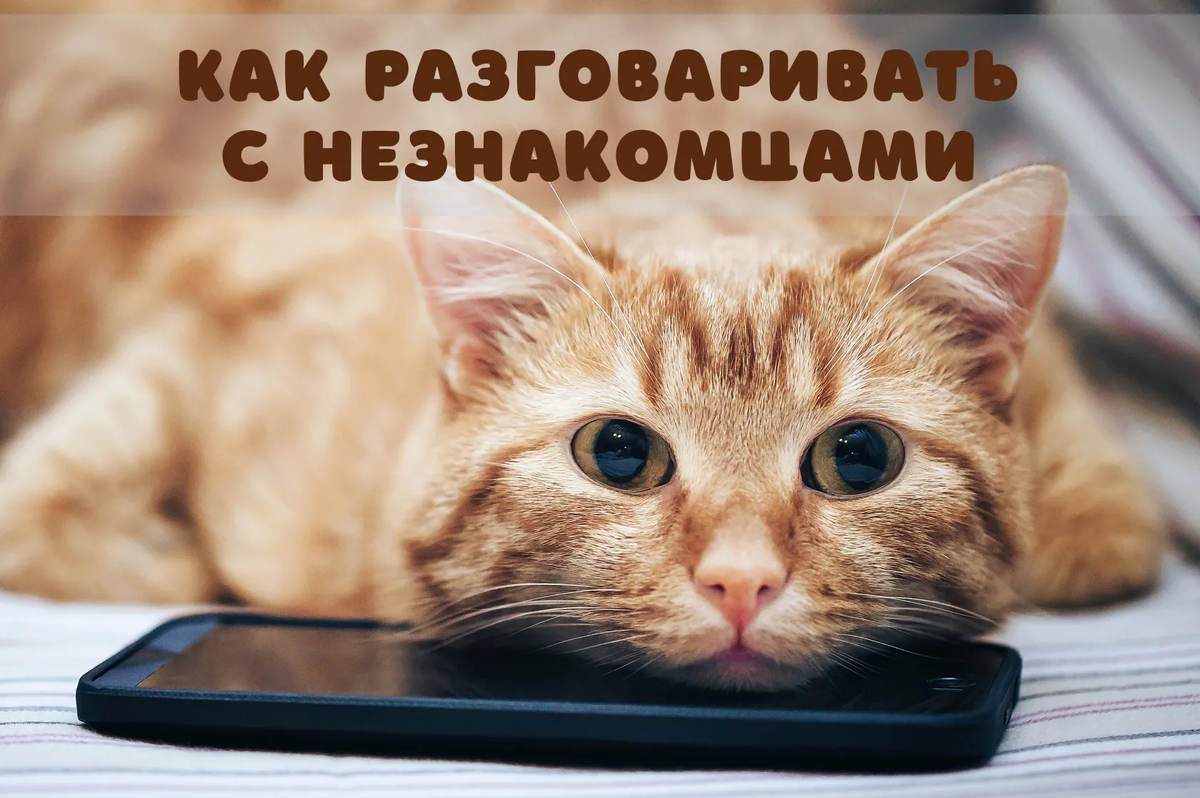 Фото: Shutterstock / e-leet