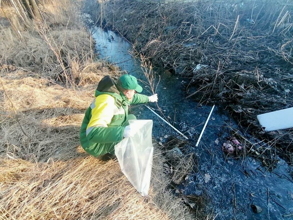Фото: пресс-служба комитета по природопользованию, охране окружающей среды и обеспечению экологической безопасности Петербурга