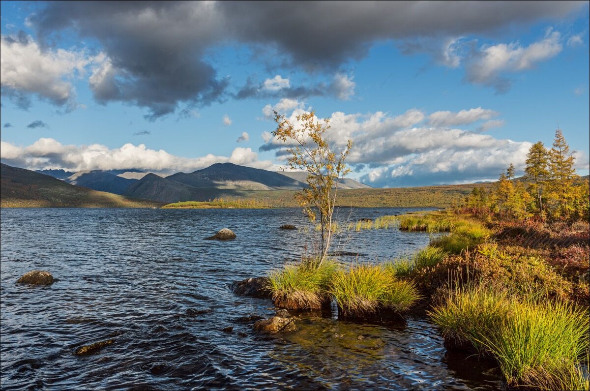 фото  из архива интернета