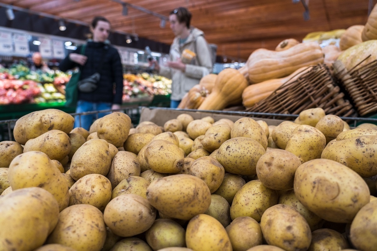 Источник фото - dzen.ru