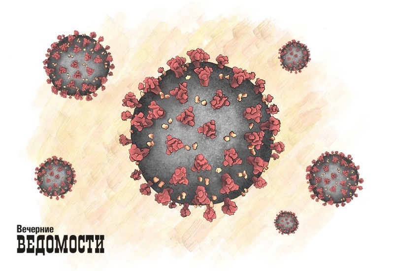     Иллюстрация: Юлия Медведева / Вечерние ведомости