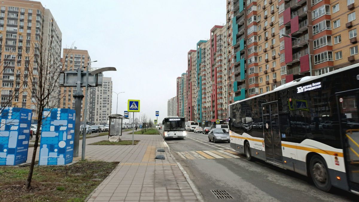 Вот с этой остановки я поеду обратно в Москву.