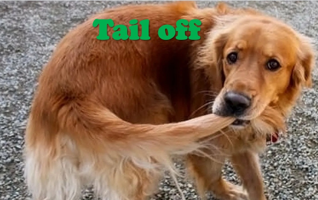 #phrasal_verb #фразовый_глагол #tail_off