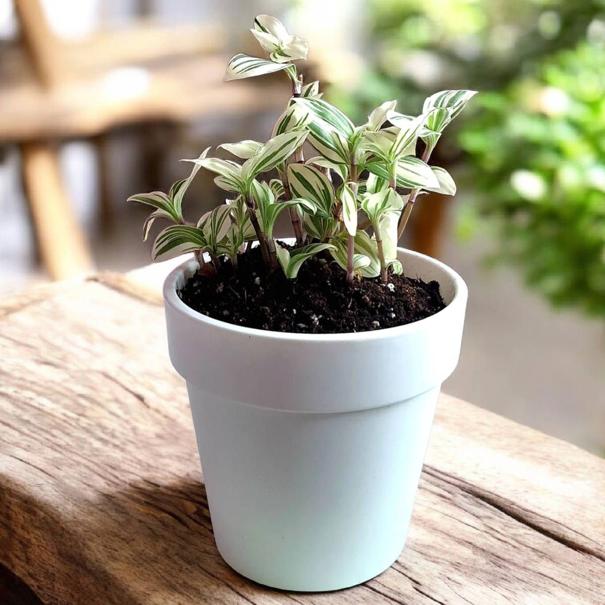 Фото автора и ИИ.