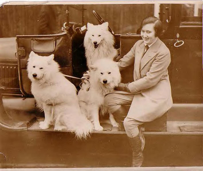 Предки вашего шпица не лежали на диване, а покоряли суровый Север.