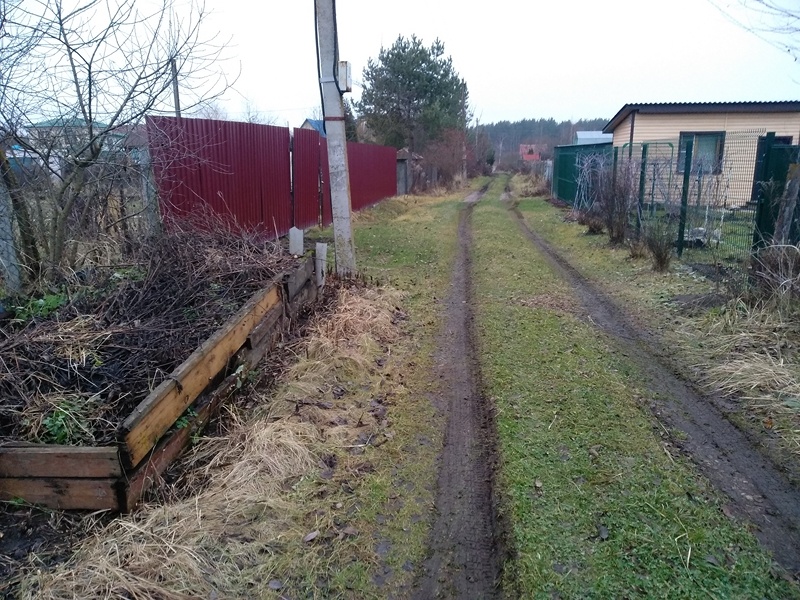 Так сразу и не поймёшь, что в метре от дороги растёт сокровище — топинамбур. Наше СНТ в декабре