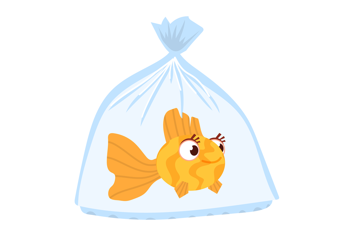 Адаптация рыб к среде обитания — это сложный и многоуровневый процесс, который позволяет водным организмам выживать и успешно размножаться в различных условиях. Адаптация осуществляется на различных уровнях: физиологическом, анатомическом и поведенческом.