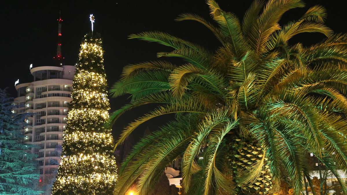    "Сочи. Новогодняя елка на площади Искусств. Дмитрий Феоктистов/ТАСС"