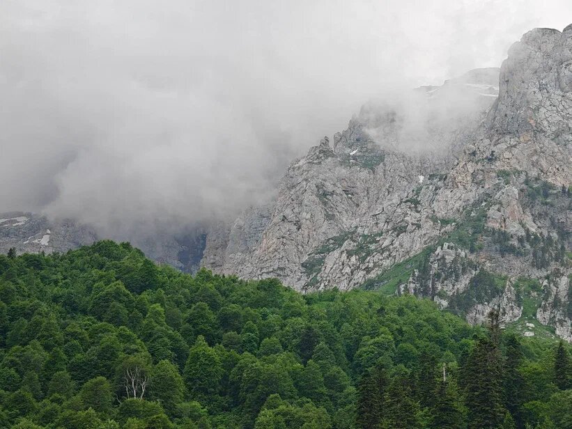    Фото: Юрий Серебренников/BFM Кубань