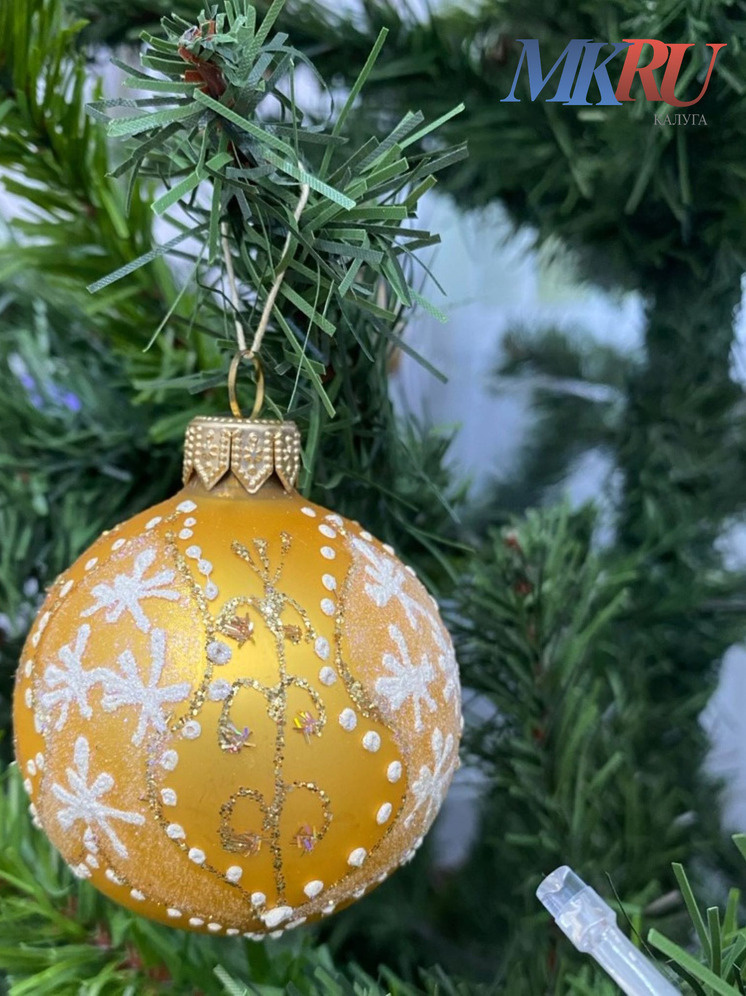     Фото: "МК в Калуге"