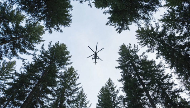    Фото: коллаж Царьграда