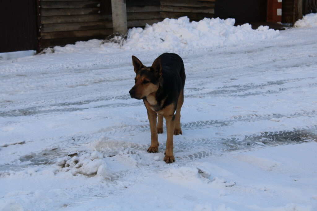    Фото: В курсе.ру Ульяна Бажанова