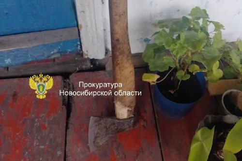    Фото: прокуратура НСО