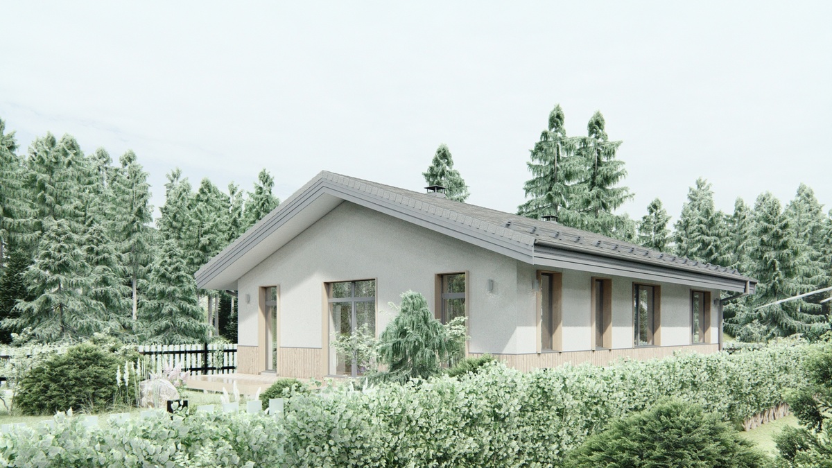 Перспектива вид 2