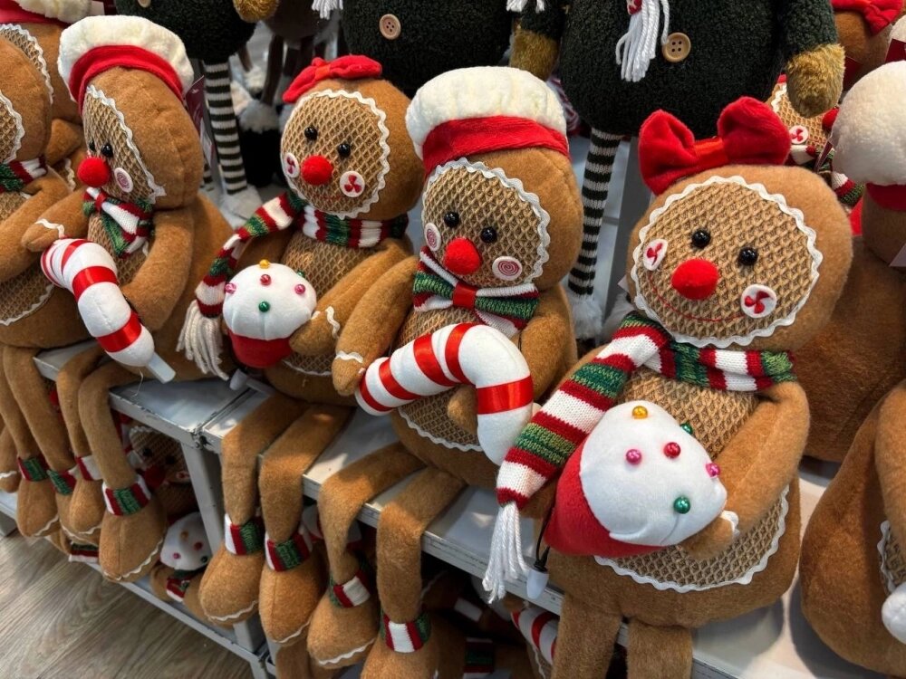    Фото: АиФ/ Юлия Францова