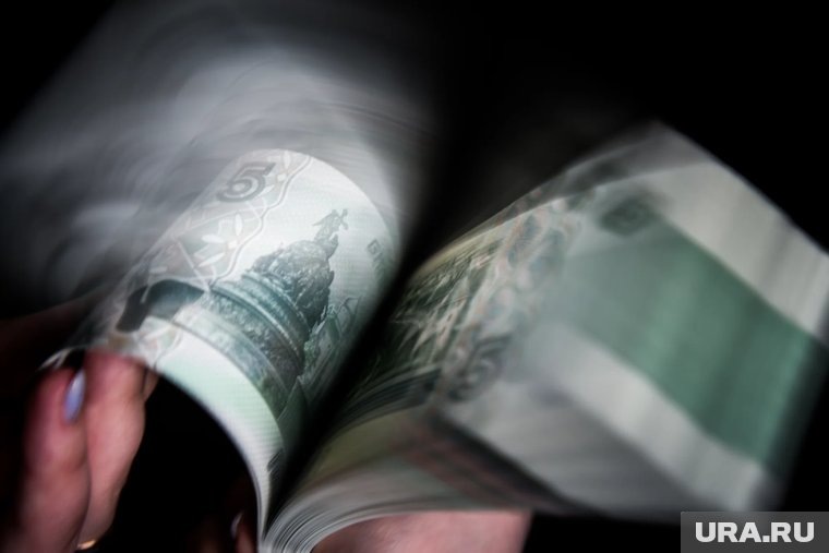     Девочка отдала родительские деньги мошенникам