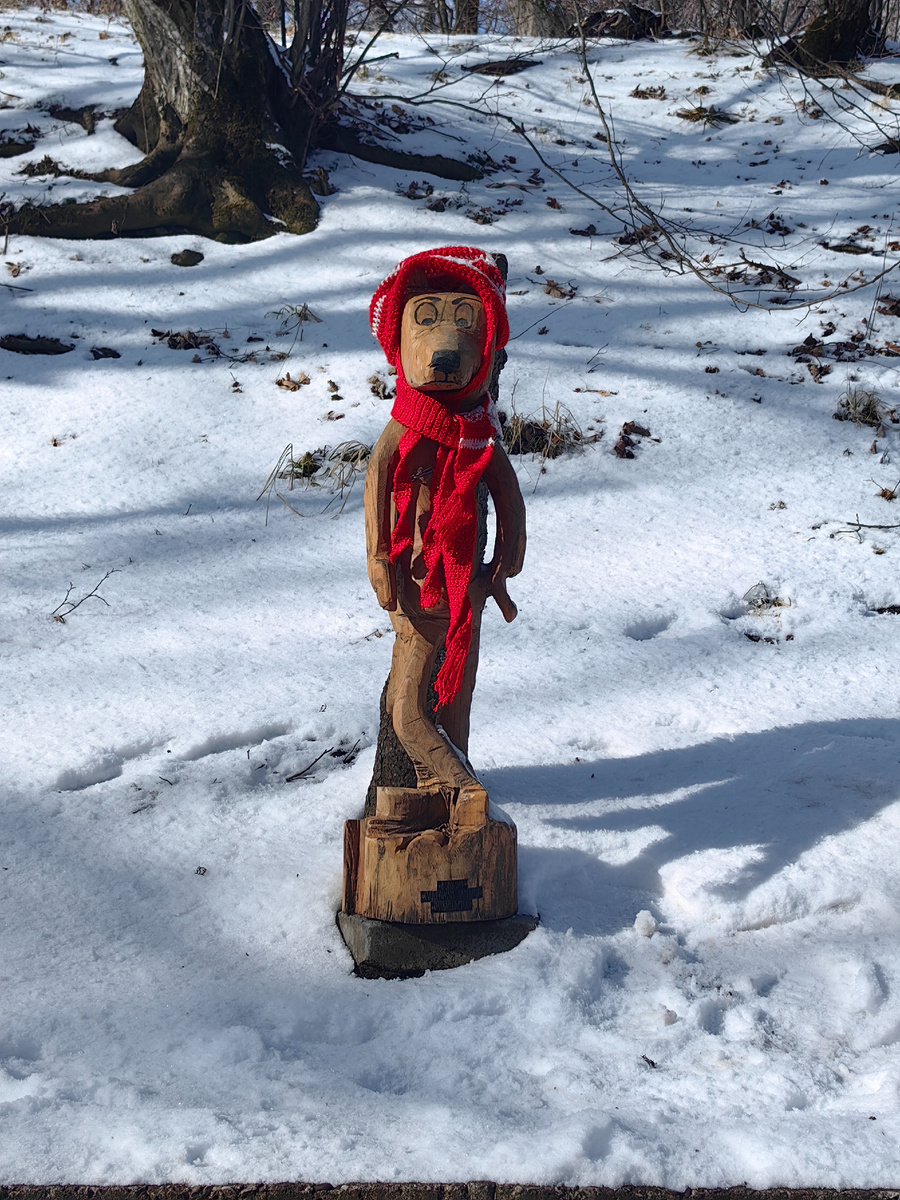 Железноводск 13.02.2025