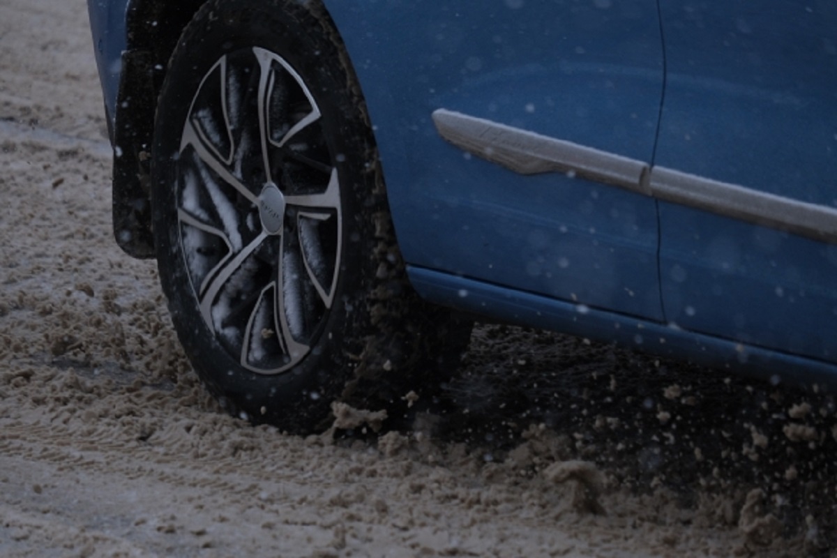 © Фото: ИД «Волгоградская правда» / архив