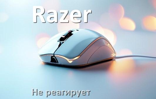 
Почему мышь Razer не реагирует и не двигается курсор в Windows 11 или 10