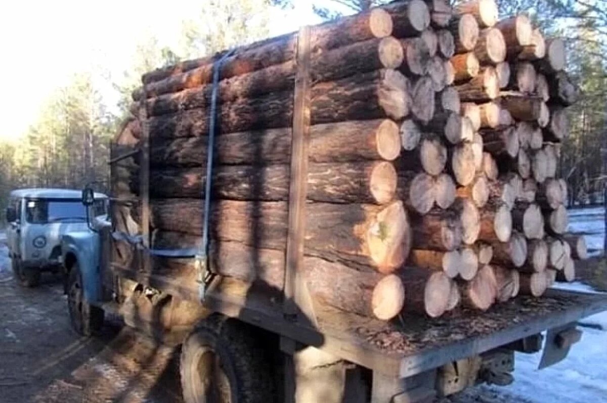    На Урале осудили двух мужчин, незаконно вырубивших лес на 35 млн рублей