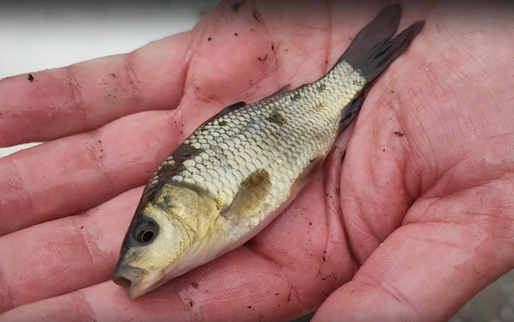    Скриншот видео «Костромская ГРЭС»