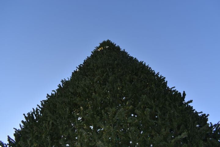    Фото:Виктория Андреева