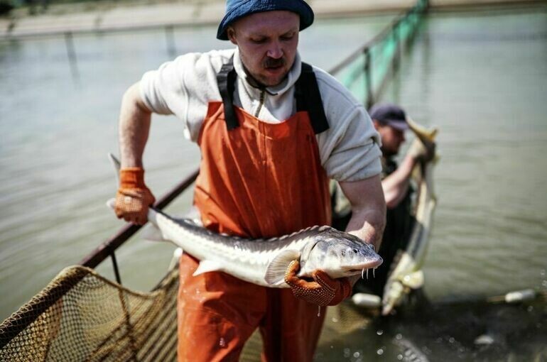   Виталий Тимкив/РИА Новости